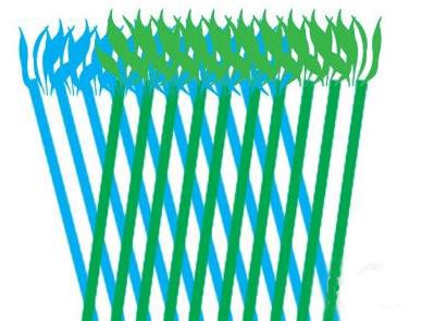 富贵竹笼如何编