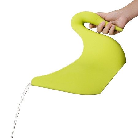 鸭脚木的扦插方法