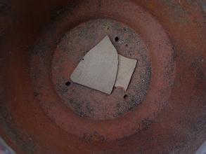 茶花如何上盆和换盆