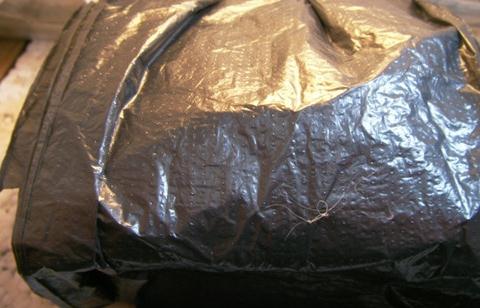 天竺葵播种方法