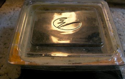 天竺葵播种方法