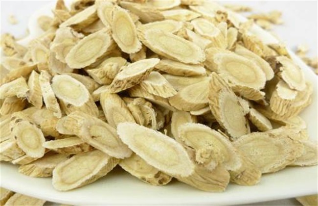 黄芪种植中经常遇见的问題