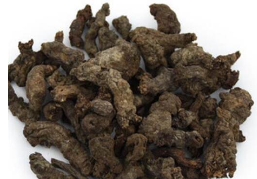 天葵子的功效和作用 天葵子的用法
