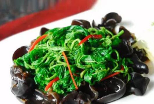 桑芽菜怎么煮 桑芽菜的做法大全