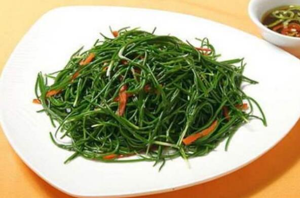 沙葱有什么功效和作用以及禁忌