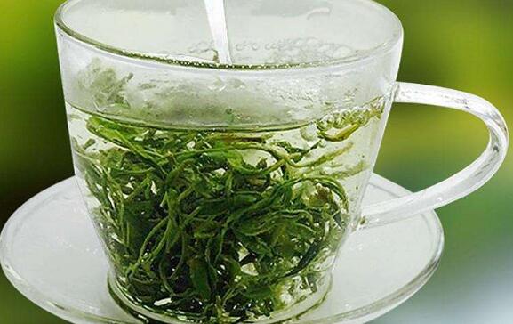 云雾绿茶有什么功效和作用以及禁忌