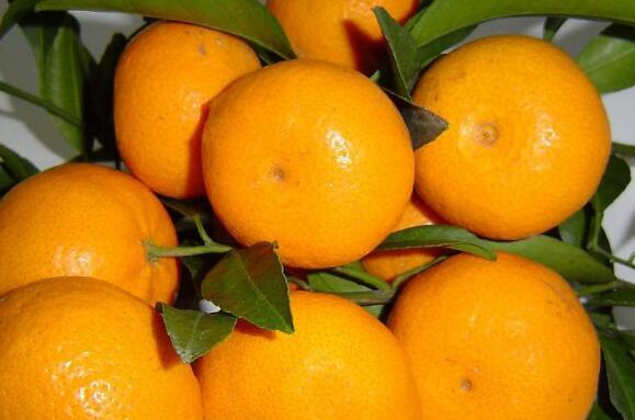 蜜橘有什么功效和作用 吃蜜橘的好处