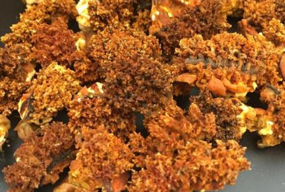 海参花有什么功效和作用 吃海参花的好处