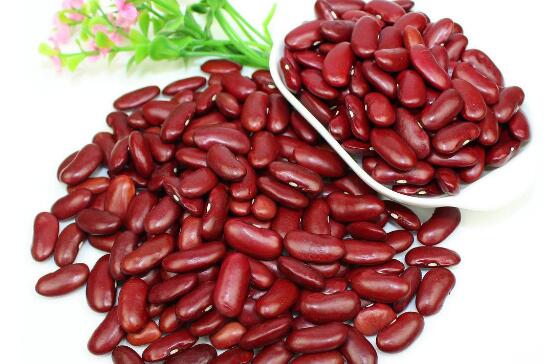 腰豆有什么功效和作用 腰豆的食用方法