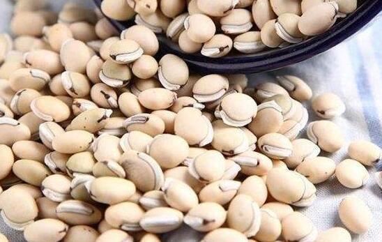 洋扁豆有什么功效和作用以及禁忌