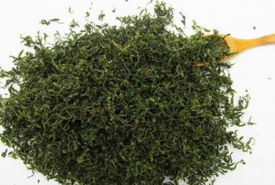 酸枣芽茶有什么功效和副作用