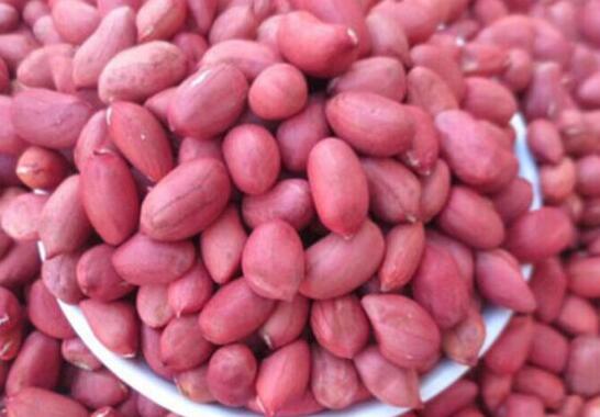 红皮花生和普通花生有什么区别