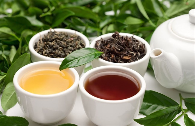 红茶和绿茶的不同之处