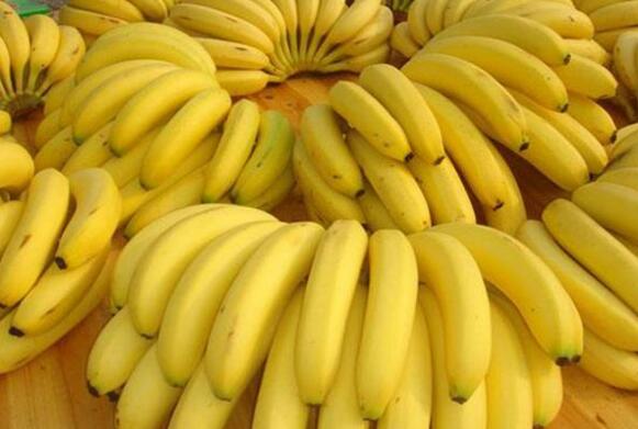 香蕉的作用和功效 吃香蕉的禁忌