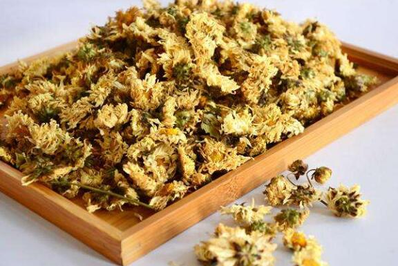 杭菊花和胎菊花有什么区别 胎菊花有什么功效和作用