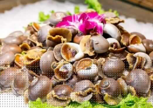 玉螺怎么吃好吃 玉螺的正确食用方法