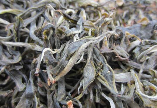 晒青毛茶是什么茶 晒青毛茶有什么功效和作用