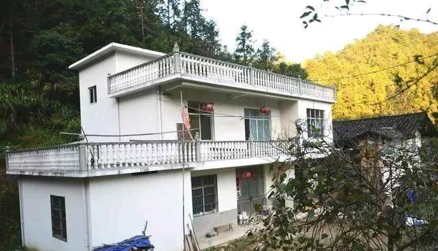 农村老人说现在农村有三种现象：地里全种树，房子空气住，汽车全是土，这是为啥？