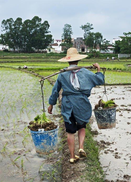 外嫁女在男方没有土地娘家的土地有权收回吗？