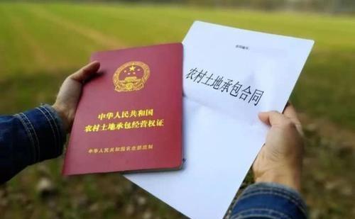在基本农田上种植果树，被村委会制止，村委会做法是否合法呢？