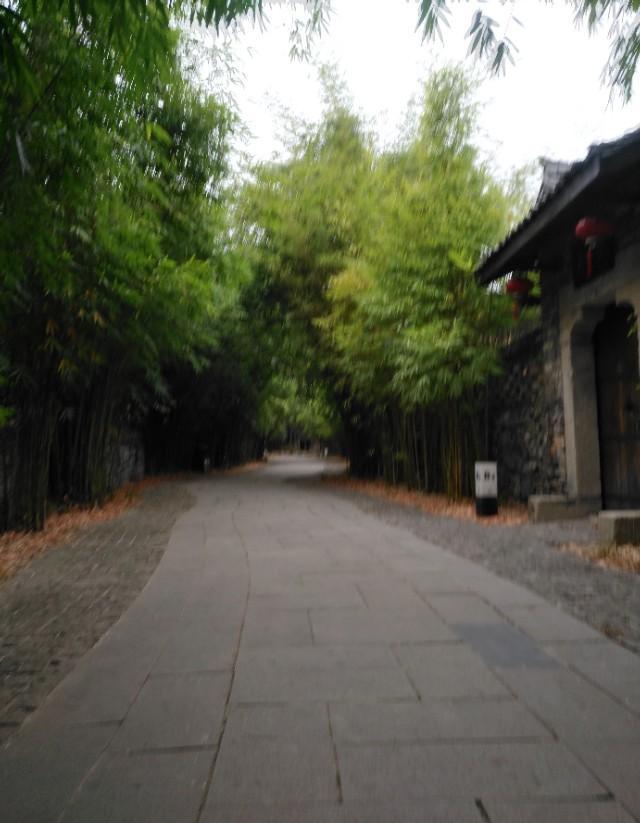 农村建设真的越来越好，道路整洁，环境清新，大家能来晒晒图吗？