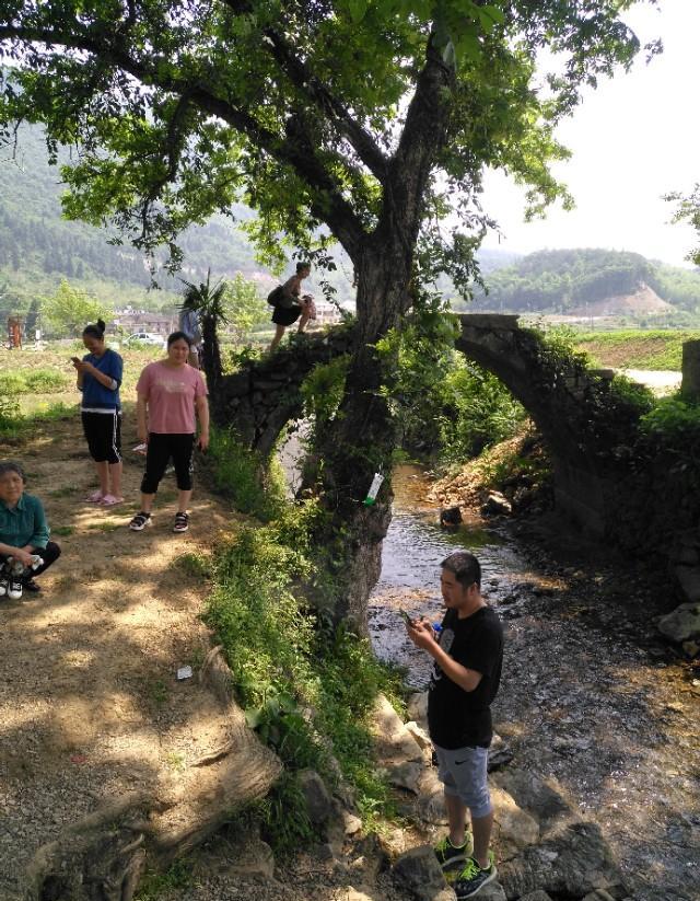 农村建设真的越来越好，道路整洁，环境清新，大家能来晒晒图吗？