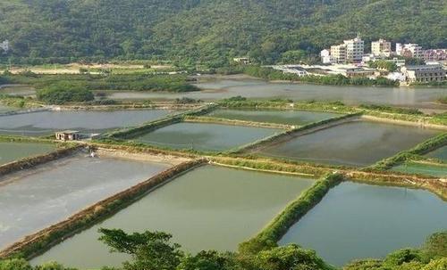 户口从农村迁入县城后，集体是否可以收回承包土地？