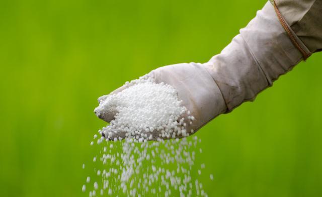 为何要使用生物肥料?生物肥料有哪些作用呢？