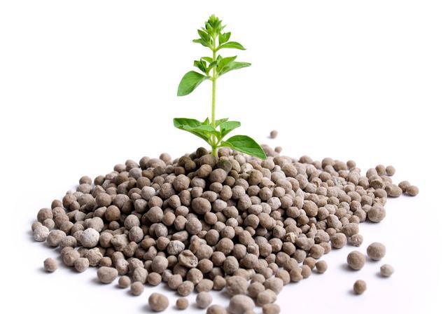 为何要使用生物肥料?生物肥料有哪些作用呢？