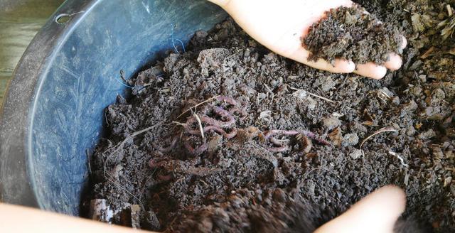 为何要使用生物肥料?生物肥料有哪些作用呢？