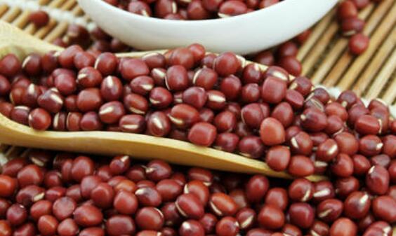 红小豆有什么功效和作用 红小豆的食用方法