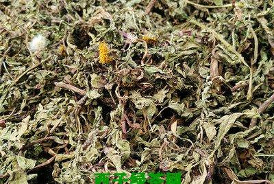 婆婆丁花晒干泡水有什么功效和作用