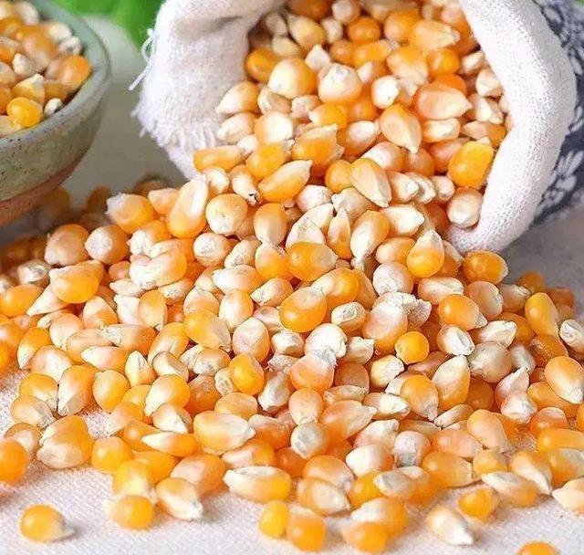 玉米种有保质期吗？时间长的还能种吗？