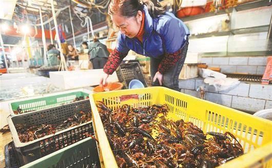 养殖户卖小龙虾给当地虾贩，怎么卖才划算？