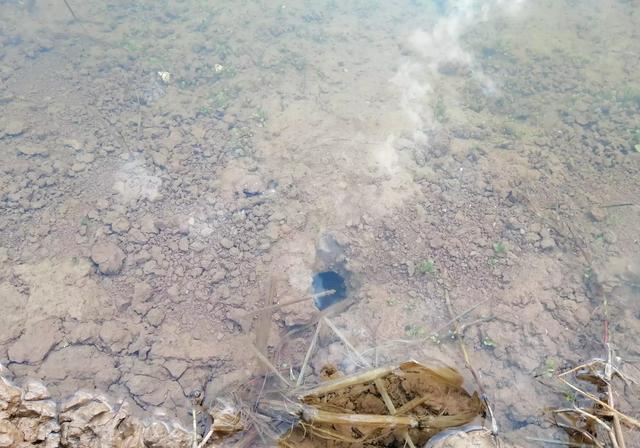 田地被挖掘成深坑养龙虾,该如何恢复成田地?