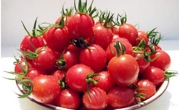 小番茄和圣女果有什么区别 吃圣女果的好处