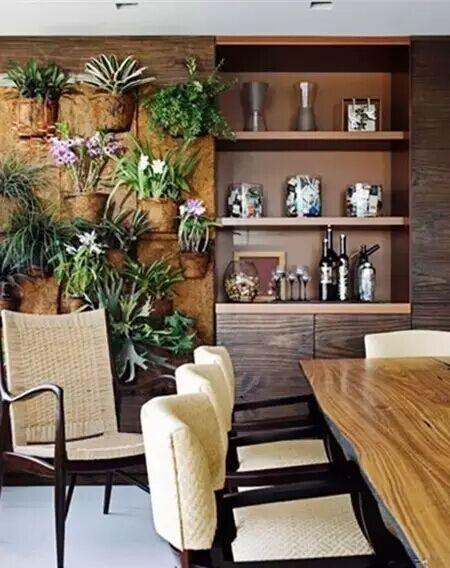 教你用家里的盆栽制作绿植背景墙