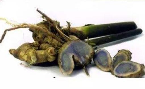 蓝姜有什么功效和作用 蓝姜的副作用