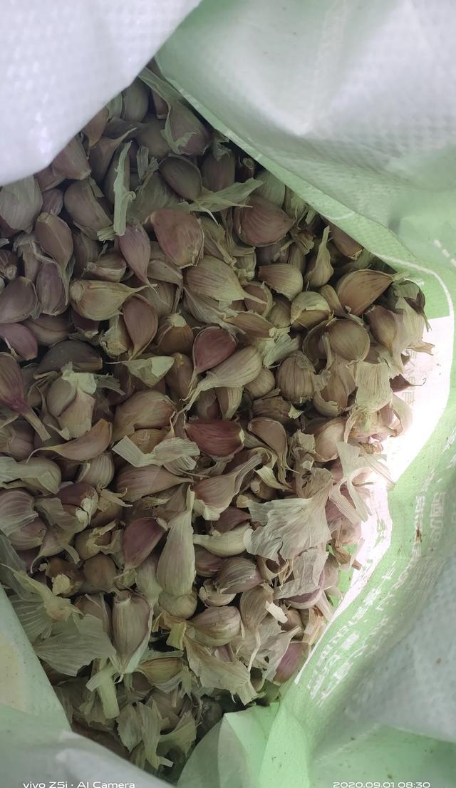 种植大蒜，如果不抽蒜薹会怎么样？