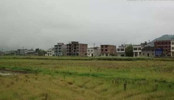 未来10年，农民的土地最终会去向哪里？