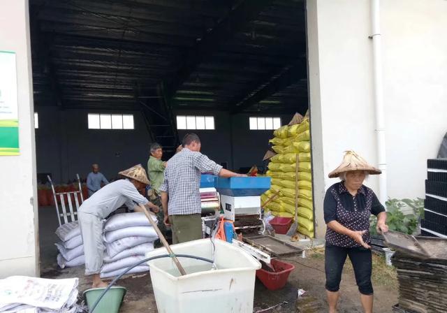 二十年后，农村的70后老了，又不会种地了，该如何养老？