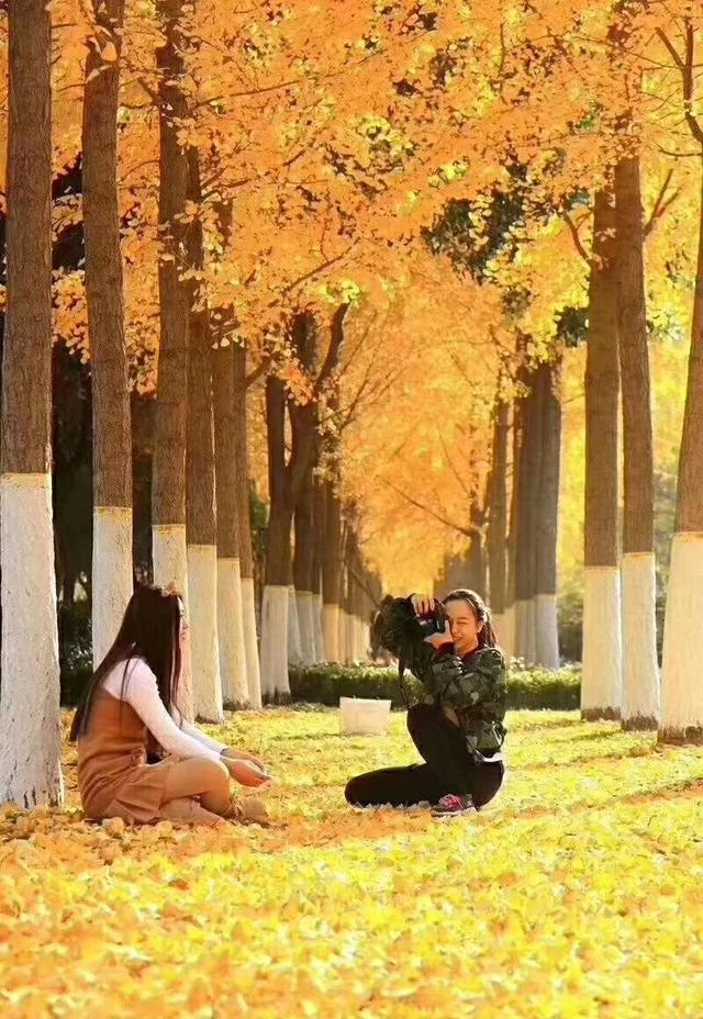 银杏叶怎么拍人像呢？发发你的美图吧？