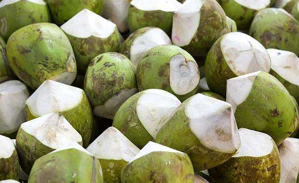 椰子的功效与作用 椰子的食用禁忌