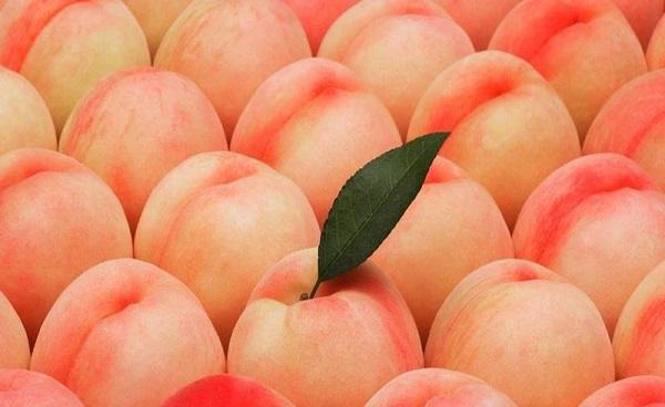桃子是什么凉性还是热性 桃子的功效