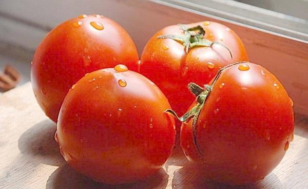 老品种西红柿种子哪有 西红柿的种植时间