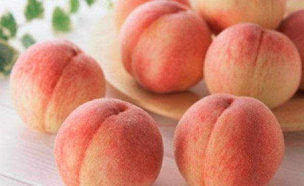 中桃十号什么时候成熟 桃子能做什么食品