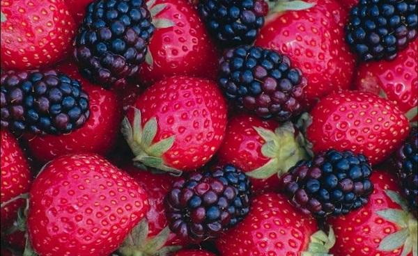 草莓是浆果类吗 草莓的种植方法