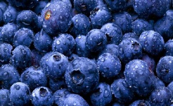 蓝莓怎么洗 蓝莓的准确清洗方法