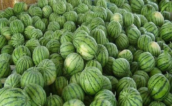 西瓜追肥用什么肥料 西瓜的营养价值高吗