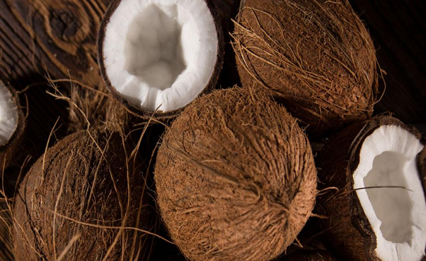 椰子的功效与作用禁忌基本都有哪些